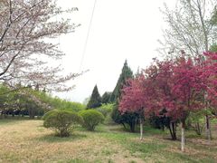 -石家庄市植物园