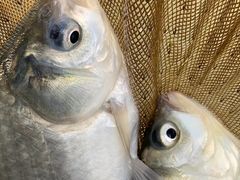 -酷鱼垂钓CLUB(朝阳区博大路店 )