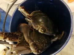 -澜悦港海鲜体验主题餐厅