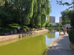 -团结湖公园