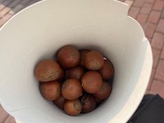 -金粒门·新鲜零食(坡子街店)