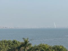 -海豚湾·大堂吧(厦门佰翔波特曼七星湾酒店)