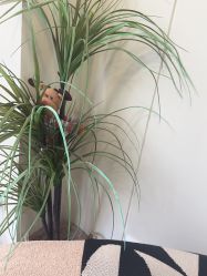 -四七美学·半永久纹眉