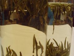 金峰茉莉花茶-北京西单美爵酒店-融轩中餐厅