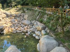 -云碧峰国家森林公园
