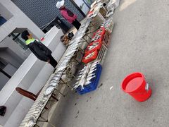 -洪湖生态旅游区