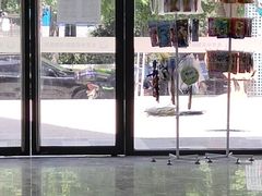 -中农国际动物医院24小时·猫科·骨科·急重症中心