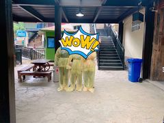 -将军关探险漂流