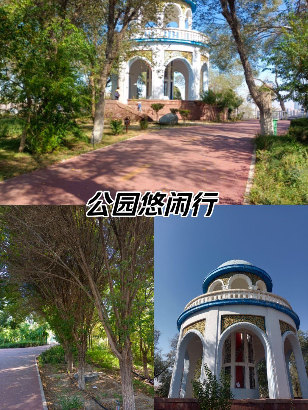 秋日的鲤鱼山公园别有一番美,锻炼身体的人