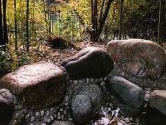 -咸宁万豪温泉谷度假区