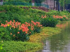 -永安龟山公园