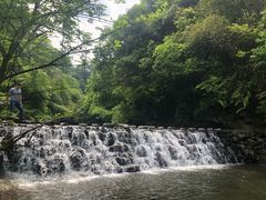-石台牯牛降景区