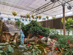 -南宫五洲植物乐园