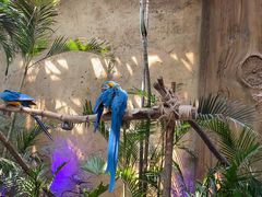 -杭州开元森泊度假乐园