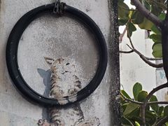 -槟城街头艺术街区