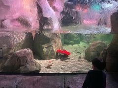 -沈阳海洋探索中心