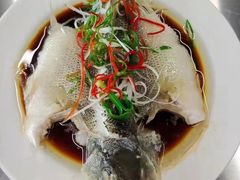 -大班家政月嫂育儿嫂(总部店)
