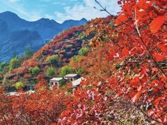 -周口店坡峰岭风景区