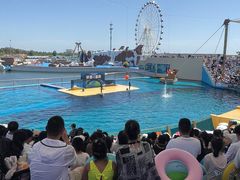 -秦皇岛乐岛海洋王国