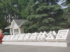 -日照海滨国家森林公园