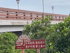 -宝安西湾红树林湿地公园