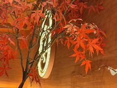 -西塔老太太泥炉烤肉(虹桥南丰城店)