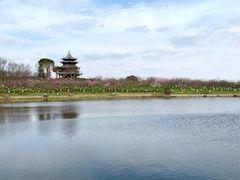 -上海海湾国家森林公园