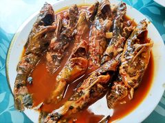 -金台阶鱼馆(于桥水库店)