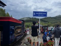 -莫尔道嘎国家森林公园