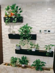 -青青一生美皮肤管理