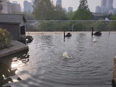 -行者书屋大堂吧 ·下午茶(南京圣和府邸酒店)