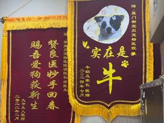 -御宝贝24h宠物医院·转诊中心·CT核磁血透中心(厦门总院)
