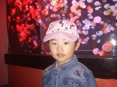 -烟台海昌鲸鲨海洋公园