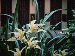 -成都杜甫草堂博物馆
