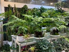 -双季花艺园艺市场(浦东店)