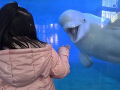 -泉城欧乐堡海洋极地世界
