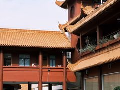 -深圳仙湖植物园