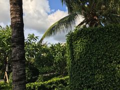 -三亚湾海居铂尔曼度假酒店