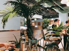 -春润大地海南椰子鸡(沙井京基百纳广场店)