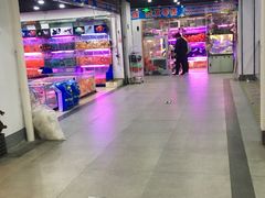 -苏州艺都古玩花鸟市场