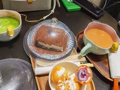 -逗柴咖啡屋·狗咖猫咖宠物桌游