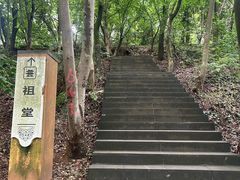 -老君山