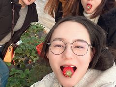 -喜杨洋草莓采摘园