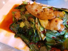回锅肉-陈麻婆豆腐总店
