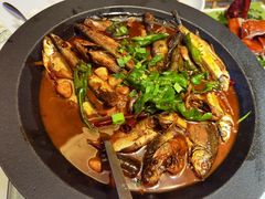 -小厨娘淮扬菜(六合欢乐港店)