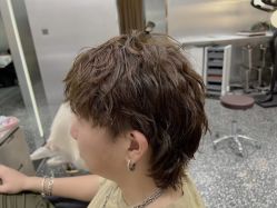 点击看大图 -Tloml salon