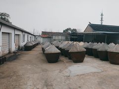 -苏州市吴中区光福窑上花果蜜饯厂