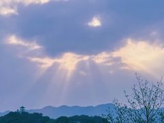 -金海湾滨江公园