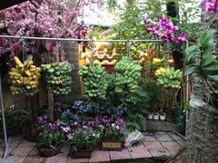 -园林美食城·本土农家菜(杨和镇店)