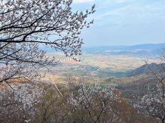 -阳台山自然风景区